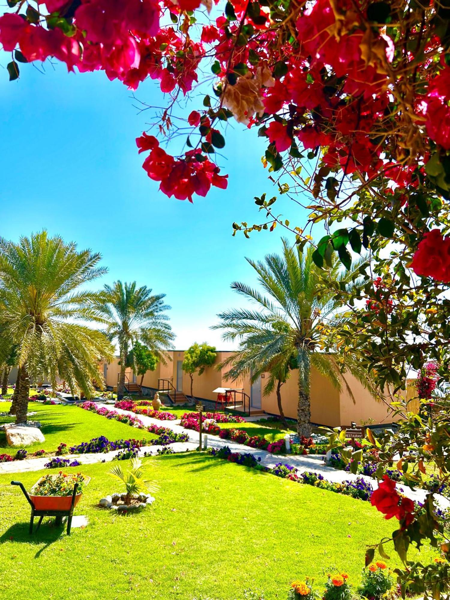 Hotel The View à Al Ḩamrāʼ Extérieur photo